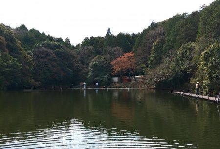 やる気満々のアマゴたち ～岡崎トラウトポンド～